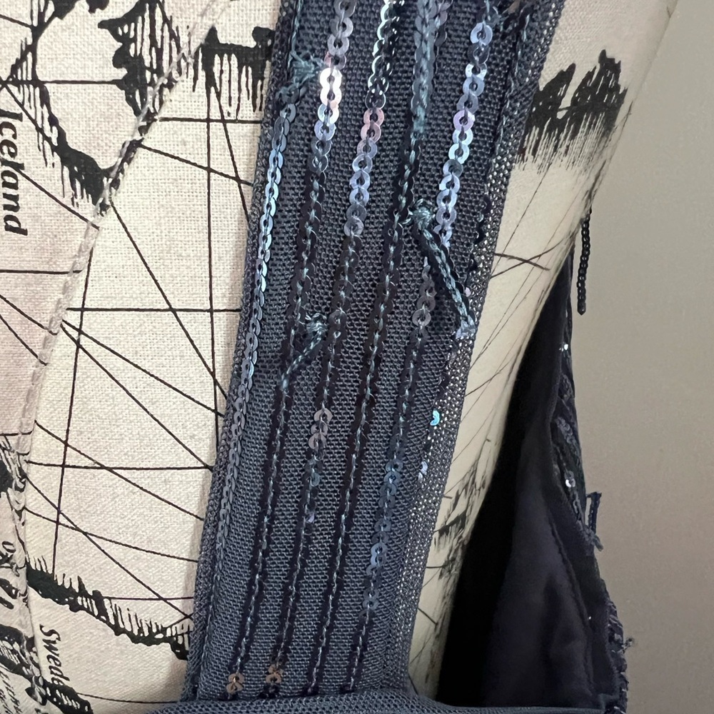 R&M Richards Sleeveless Sequin Fringe Dress - Picture 8 of 12